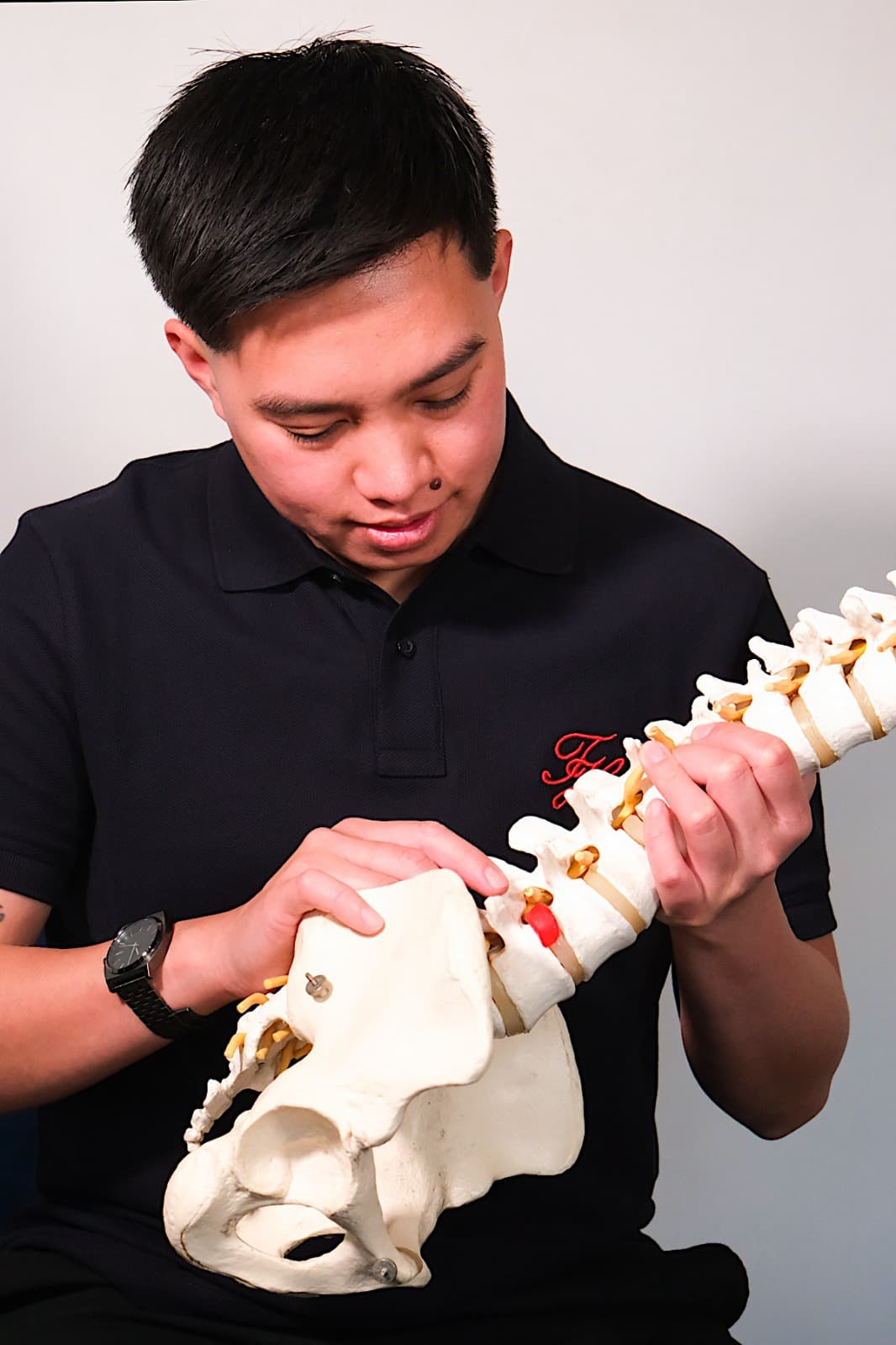 Examining a spine and pelvis anatomical model